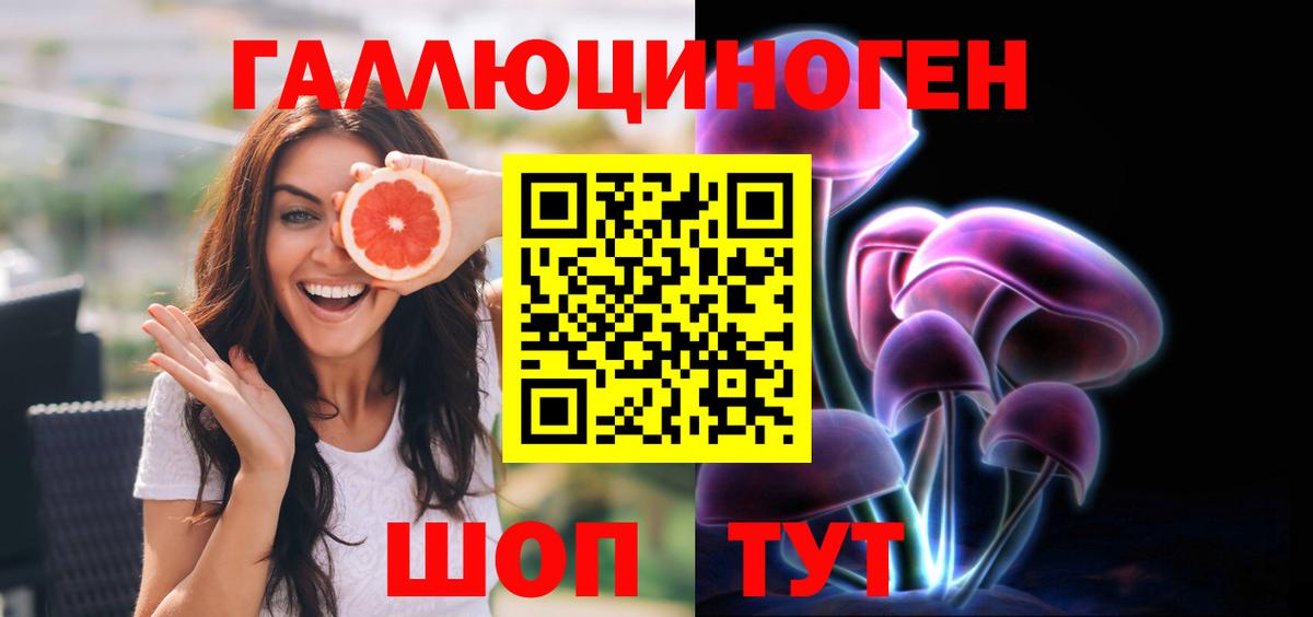 Галлюциногенные грибы Psilocybine cubensis Луга