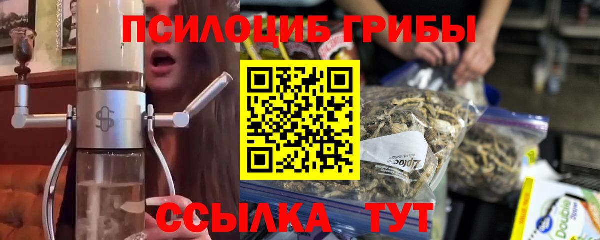 Галлюциногенные грибы Psilocybe  Вход с VPN  Галлюциногенные грибы MAGIC MUSHROOMS  Луга 